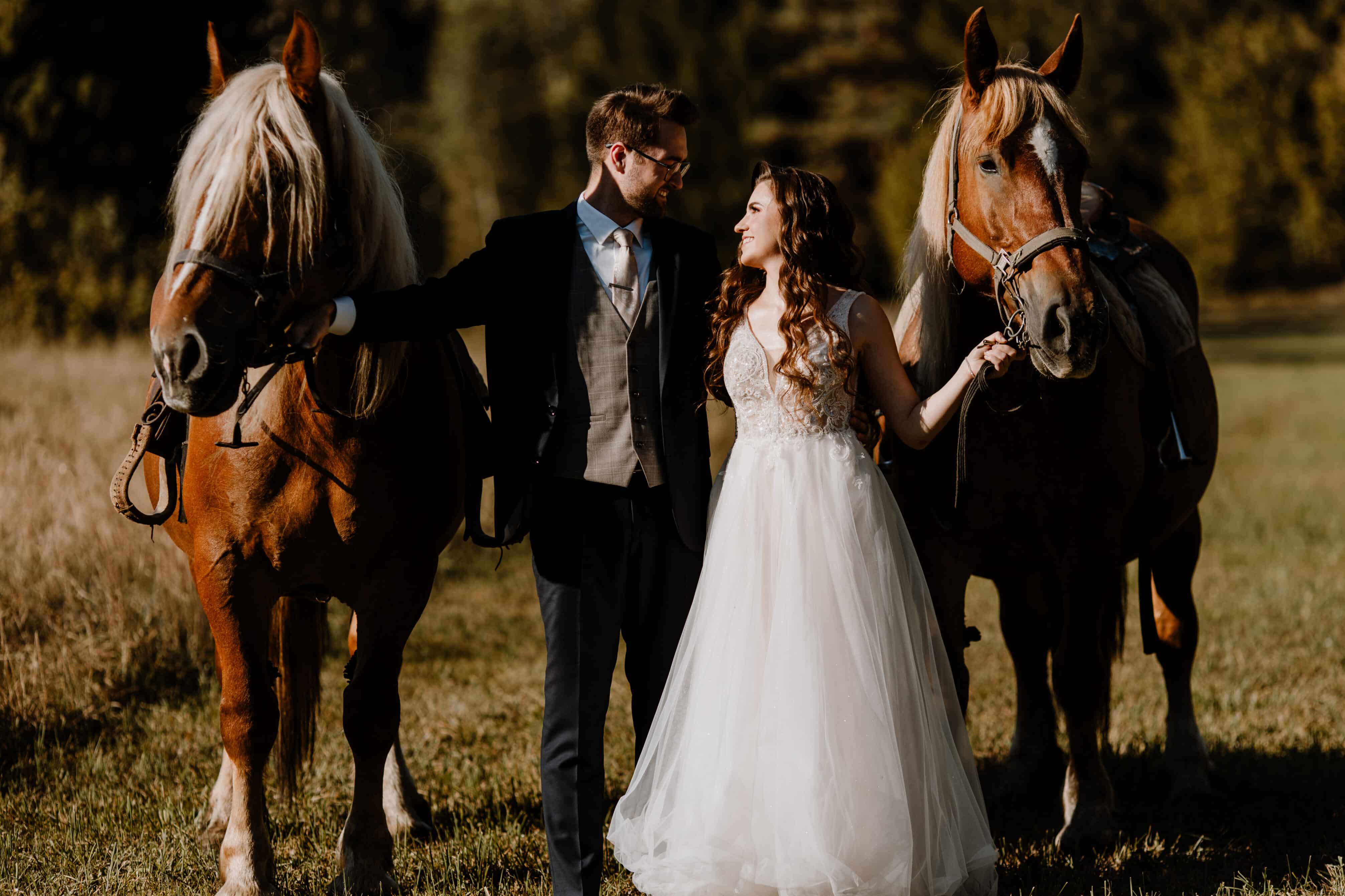 sesja ślubna z końmi